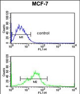 a02791 2 anti ebp1 antibody c term fc testing 4
