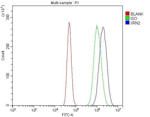 a02797 3 xrn2 primary antibodies fcm testing 2
