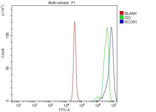 a02799 3 rcor1 primary antibodies fcm testing 4