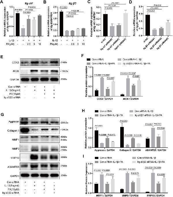 a02802 1 fphar 12 761922 g006