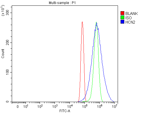 a02804 1 hcn2 primary antibodies fcm testing 10