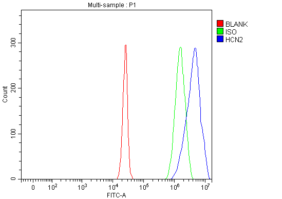 a02804 1 hcn2 primary antibodies fcm testing 9