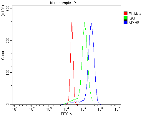 a02808 2 myh6 primary antibodies fcm testing 5