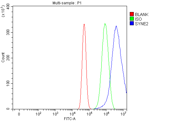 a02818 1 syne2 primary antibodies fcm testing 6