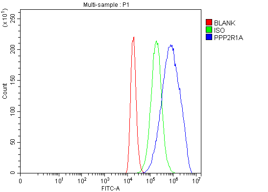 a02822 2 ppp2r1a primary antibodies fcm testing 5_1