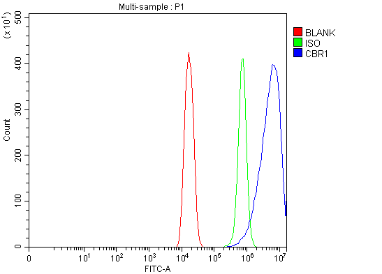 a02825 1 cbr1 primary antibodies fcm testing 10
