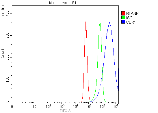 a02825 1 cbr1 primary antibodies fcm testing 9
