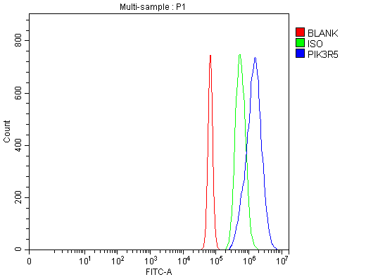  Flow Cytometry analysis of JK cells using anti-PIK3R5 antibody (A02827-2)