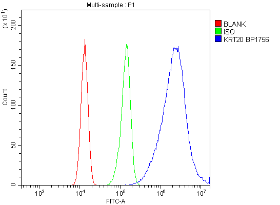 a02828 2 krt20 primary antibodies fcm testing 15
