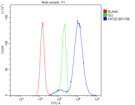 a02828 2 krt20 primary antibodies fcm testing 16
