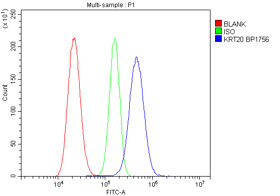 a02828 2 krt20 primary antibodies fcm testing 17