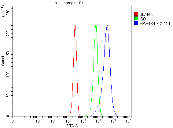 a02829 2 map4k4 primary antibodies fcm testing 1