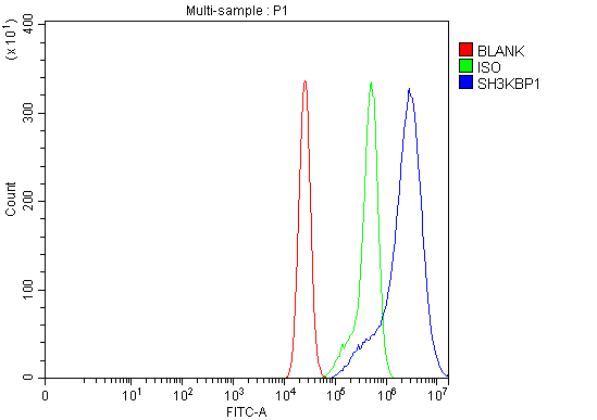  Flow Cytometry analysis of CACO-2 cells using anti-SH3KBP1 antibody (A02835-1)