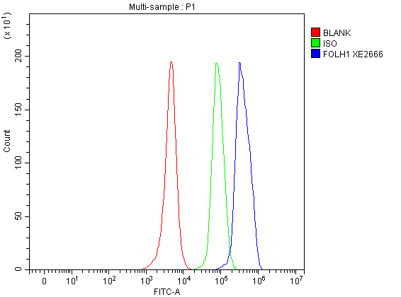 a02846 2 folh1 primary antibodies fcm testing 1