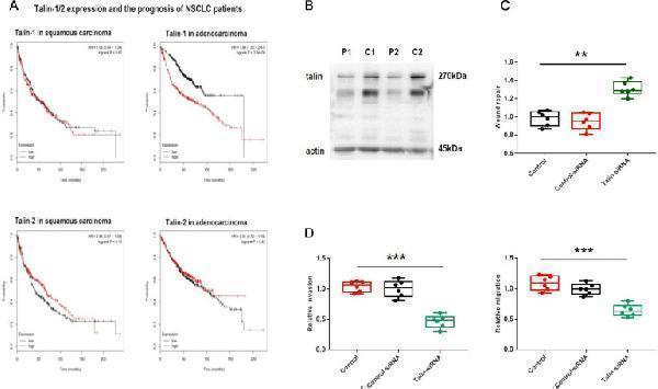 a02859 1 jcav11p5032g001