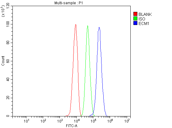 Flow Cytometry analysis of HepG2 cells using anti-ECM1 antibody (A02861-2)