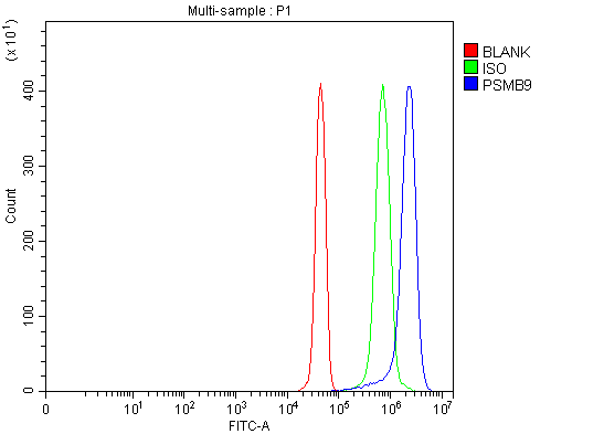 a02867 2 psmb9 primary antibodies fcm testing 5