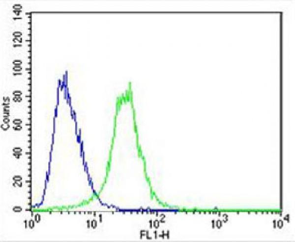 a02868 1 anti ces2 antibody center fc testing 5