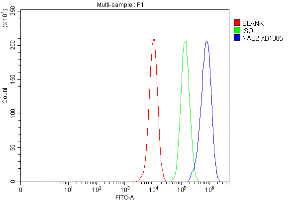 a02873 3 nab2 primary antibodies fcm testing 3