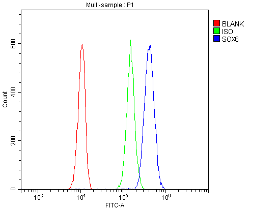 a02877 2 sox6 primary antibodies fcm testing 5