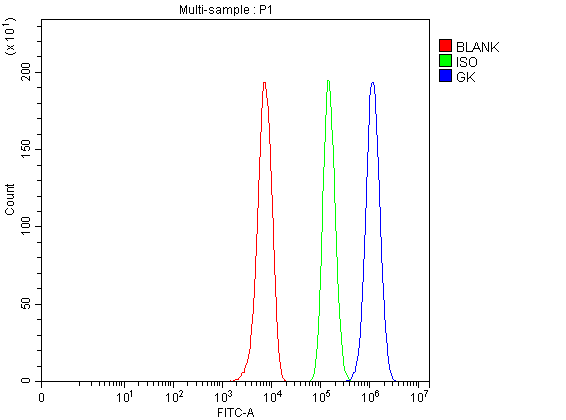 a02884 1 gk primary antibodies fcm testing 1