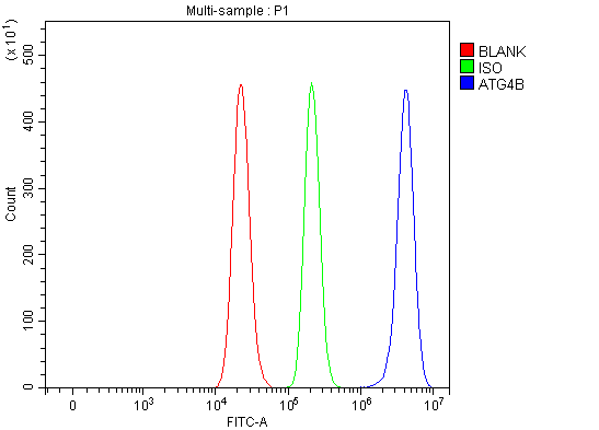  Flow Cytometry analysis of RT4 cells using anti-ATG4B antibody (A02885-2)