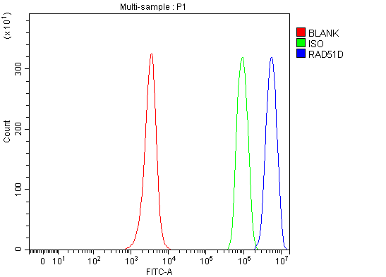 a02893 3 rad51d primary antibodies fcm testing 3
