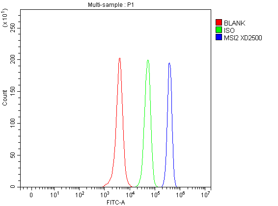 a02898 2 msi2 primary antibodies fcm testing 1
