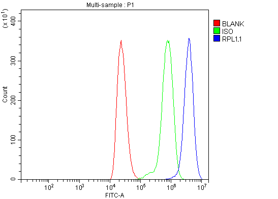 a02901 1 rpl11 primary antibodies fcm testing 6
