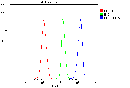 a02912 2 clpb primary antibodies fcm testing 5