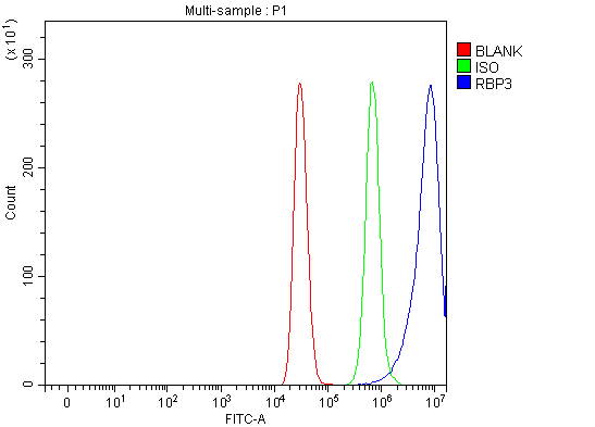  Flow Cytometry analysis of MCF-7 cells using anti-IRBP/RBP3 antibody (A02913-1)