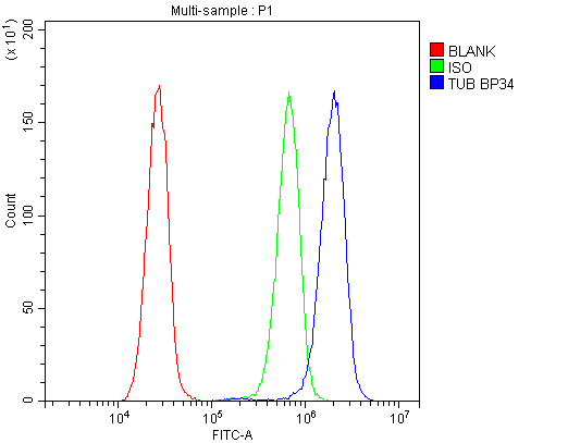  Flow Cytometry analysis of HeLa cells using anti-TUB 1 antibody (A02917-1)