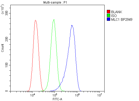 a02920 1 mlc1 primary antibodies fcm testing 2