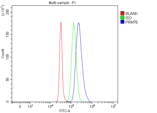  Flow Cytometry analysis of SH-SY5Y cells using anti-PRMT6 antibody (A02924-1)