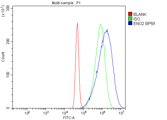 a02930 nse primary antibodies fcm testing 8