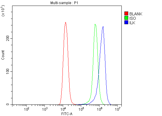 a02932 3 ilk primary antibodies fcm testing 7_1
