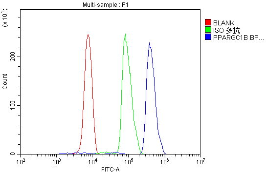 a02933 1 ppargc1b primary antibodies fc testing 2
