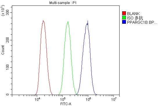 a02933 1 ppargc1b primary antibodies fc testing 3