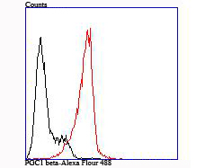 Flow cytometric analysis of HL-60 cells with PGC1 beta antibody at 1/100 dilution (red) compared with an unlabelled control (cells without incubation with primary antibody; black)
