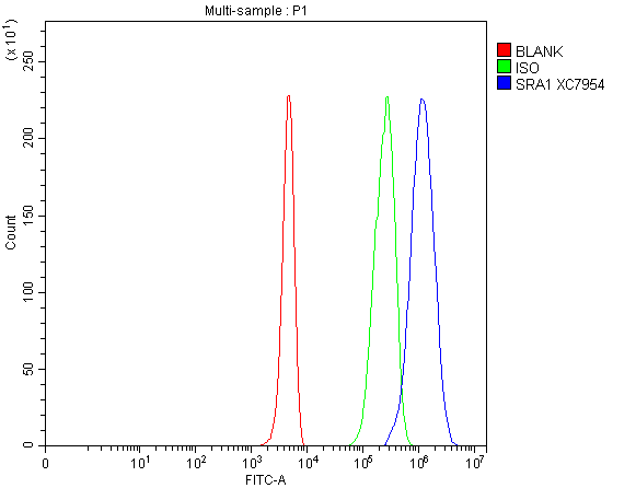 a02942 2 sra1 primary antibodies fcm testing 1
