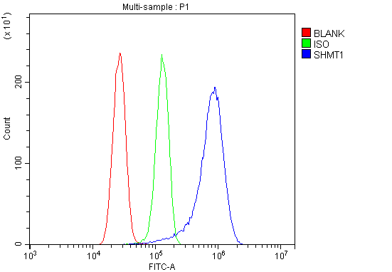 a02944 1 shmt1 primary antibodies fcm testing 3