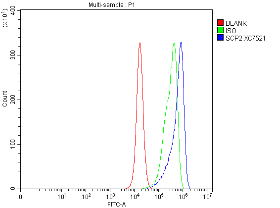 Flow Cytometry analysis of PC-3 cells using anti-SCP2 antibody (A02947-2)