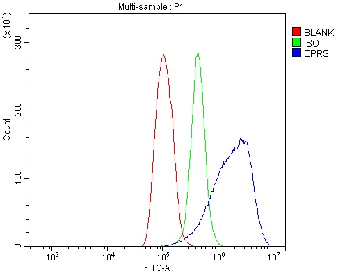 a02967 2 eprs primary antibodies fcm testing 11
