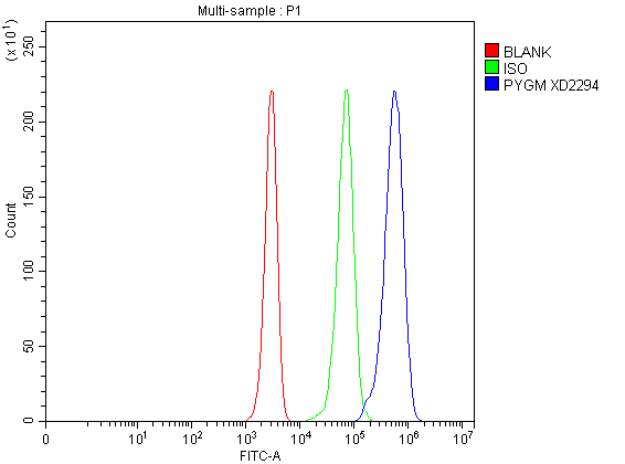a02971 1 pygm primary antibodies fcm testing 1