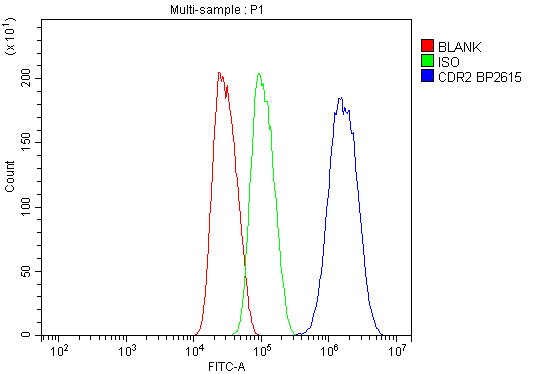 a02973 2 cdr2 primary antibodies fcm testing 5