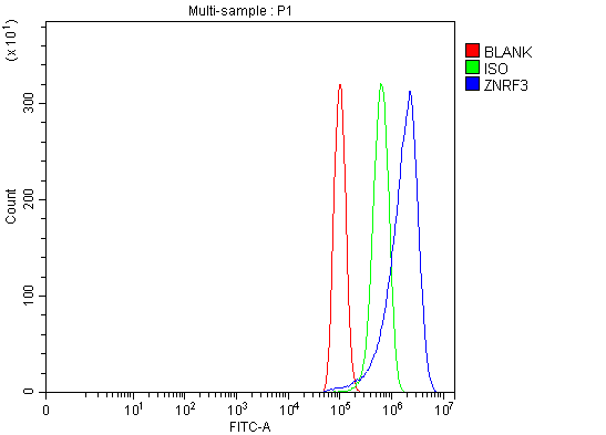  Flow Cytometry analysis of PC-3 cells using anti-ZNRF3 antibody (A02974-1)