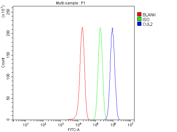 a02986 3 cul2 primary antibodies fcm testing 2_1