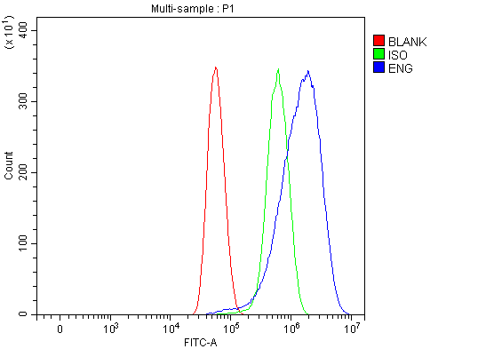  Flow Cytometry analysis of U87 cells using anti-CD105/ENG antibody (A02997-1)