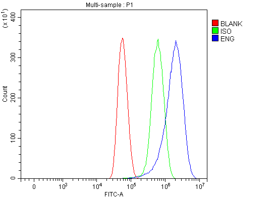  Flow Cytometry analysis of U87 cells using anti-CD105/ENG antibody (A02997-3)