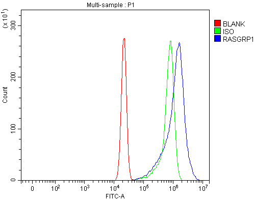 a03004 1 rasgrp1 primary antibodies fcm testing 3